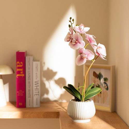 Maceta Flor Orquídea M 15 x 40 cm