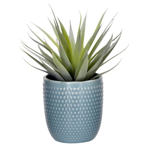 Maceta Cactus Emboss 12 x 16 cm