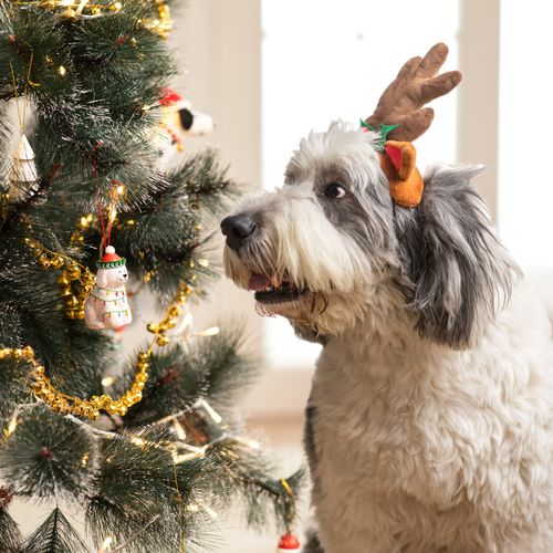 Adorno para árbol de Navidad con Personaje