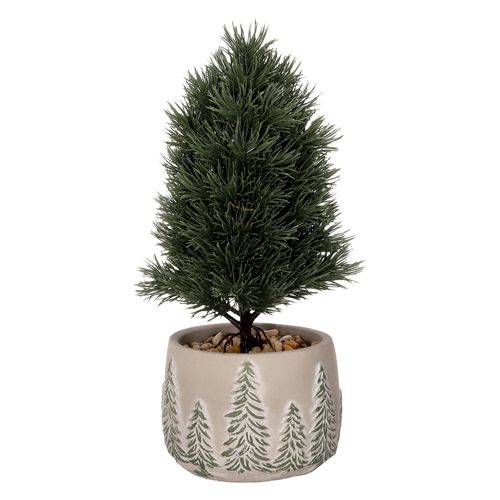 Maceta con Pino Navideño