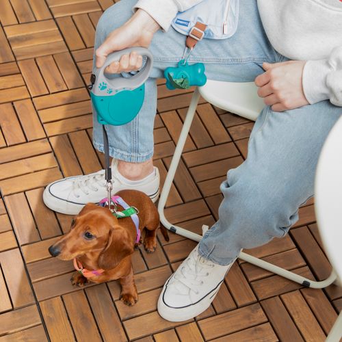 Dispensador de Bolsas para Paseo de Mascota