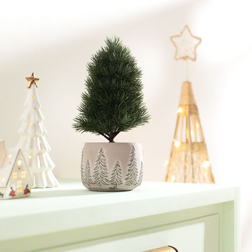 Maceta con Pino Navideño