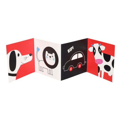 Set Tarjetas con Libro Didáctico