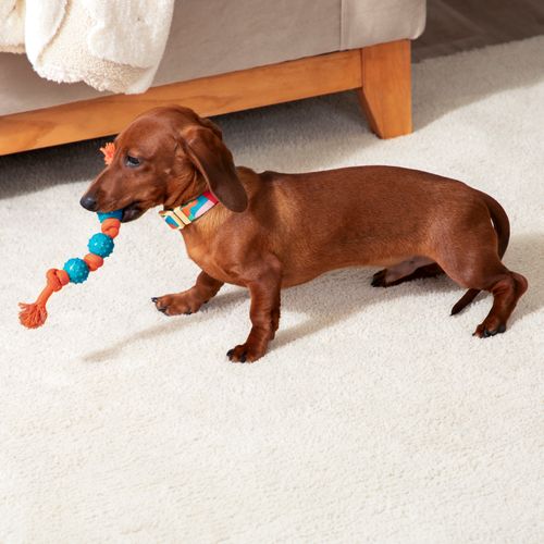 Juguete Cuerda con Pelotas