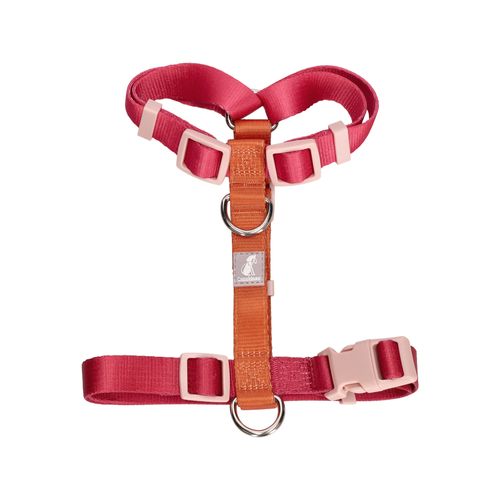 Arnés Color para Mascota