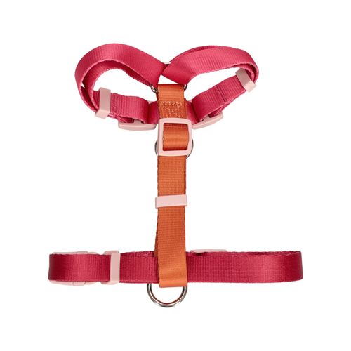Arnés Color para Mascota
