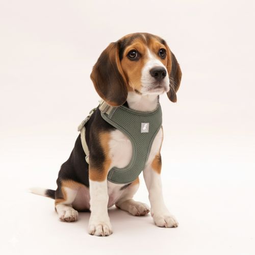 Arnés Pechera Ajustable para mascota