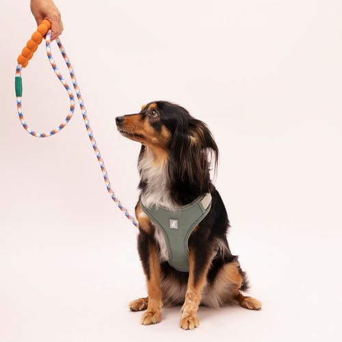 Arnés Pechera Ajustable para mascota