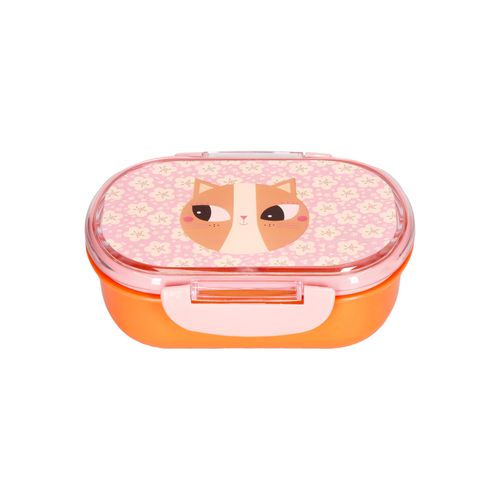 Taper Con Divisiones para Bebé