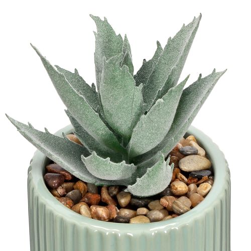 Maceta Cactus Pequeña Ø 7 x 8 cm