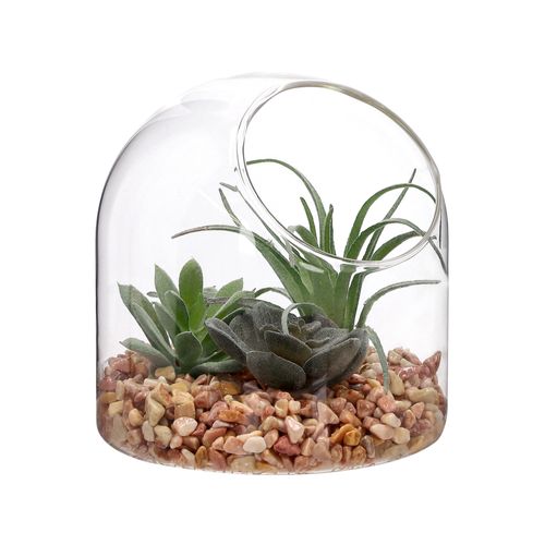 Terrario de Vidrio con Cactus Ø 12 x 12 cm