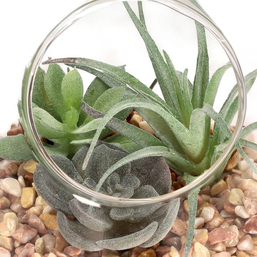 Terrario de Vidrio con Cactus Ø 12 x 12 cm
