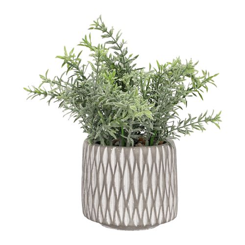 Maceta de Cerámica Texturada con Planta Ø 15 x 23 cm