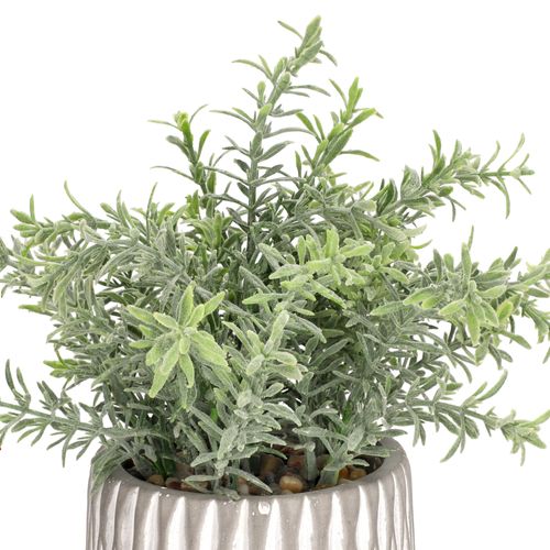 Maceta de Cerámica Texturada con Planta Ø 15 x 23 cm