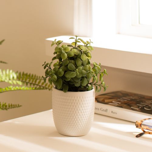 Maceta Cactus Emboss 12 x 16 cm