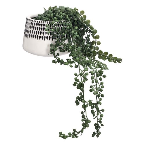 Maceta con Suculenta y Decal Ø 15 x 35 cm