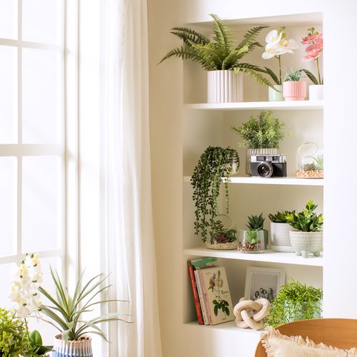 Maceta con Suculenta y Decal Ø 15 x 35 cm