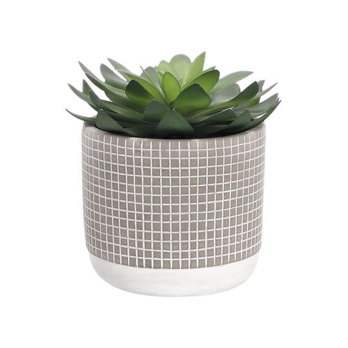 Maceta Terracota con Cactus Ø 12 x 24 cm