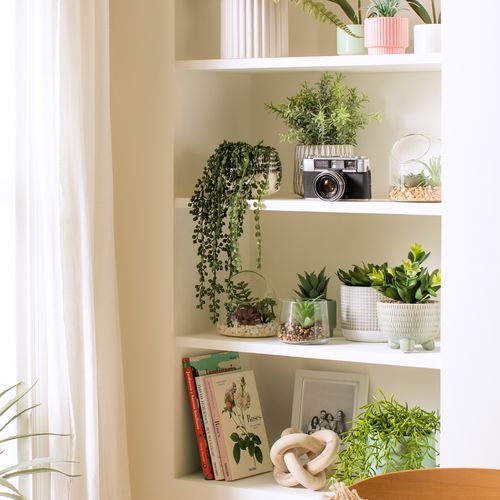 Terrario de Vidrio con Cactus Ø 12 x 12 cm