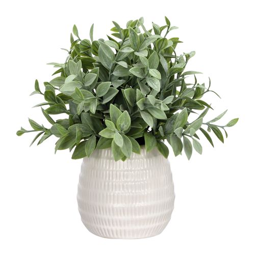 Maceta de Céramica Texturada con Planta Ø 15 x 23 cm