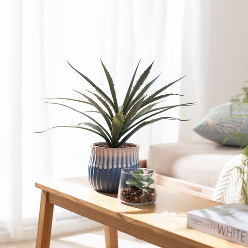 Maceta Alta con Cactus Ø 41 x 37,5 cm