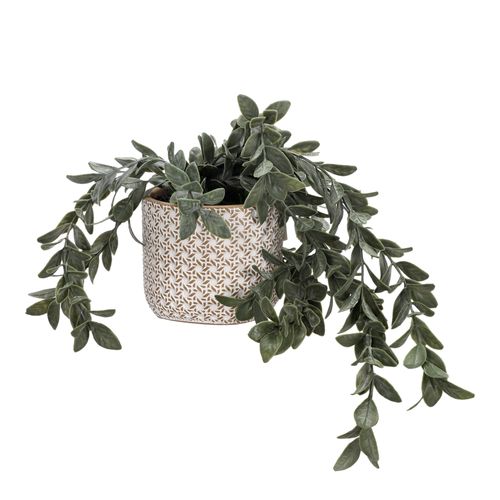 Maceta con Planta Colgante Ø 15 x 34 cm