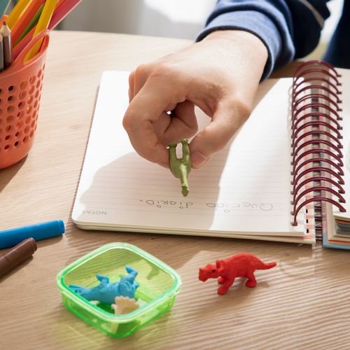 Set 3 Borradores con forma XS