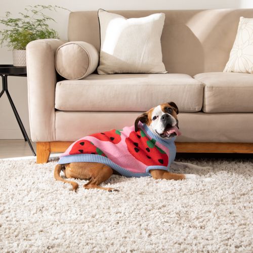 Chaleco para Mascota con Diseño