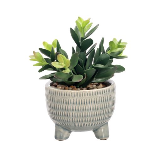 Maceta Cactus Emboss Ø 13 x 15,2 cm